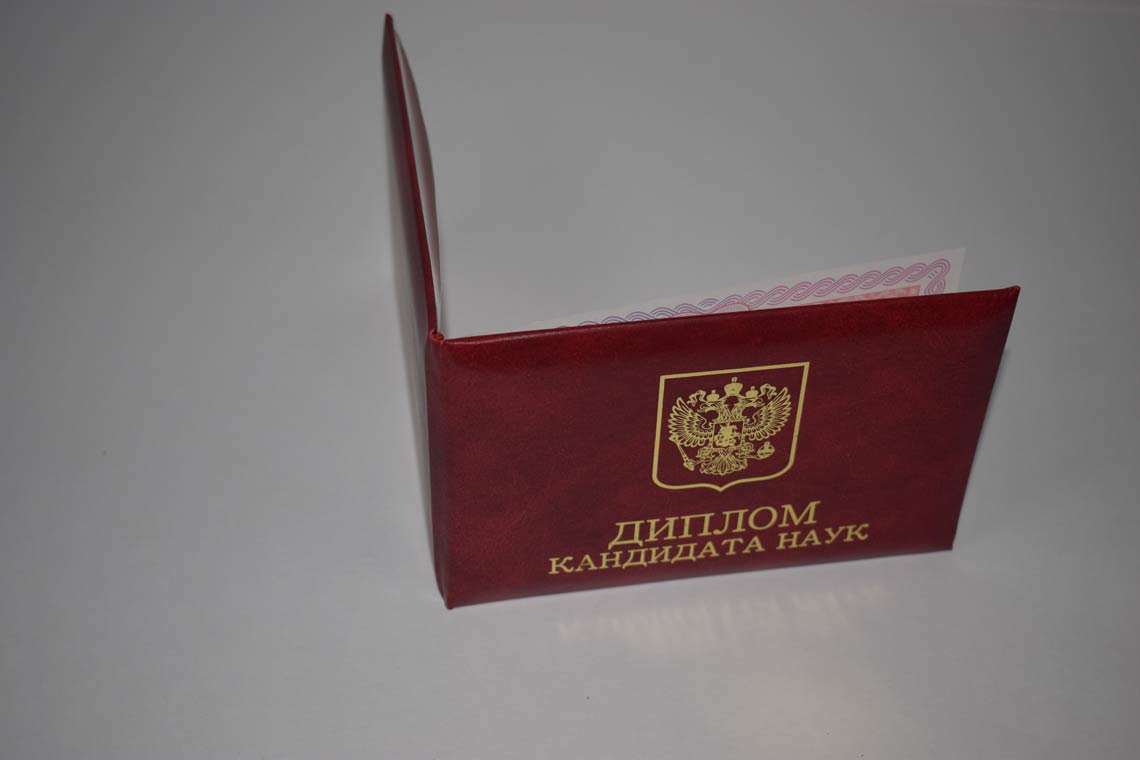 Диплом Кандидата Наук 2013-2016 в Домодедово корка