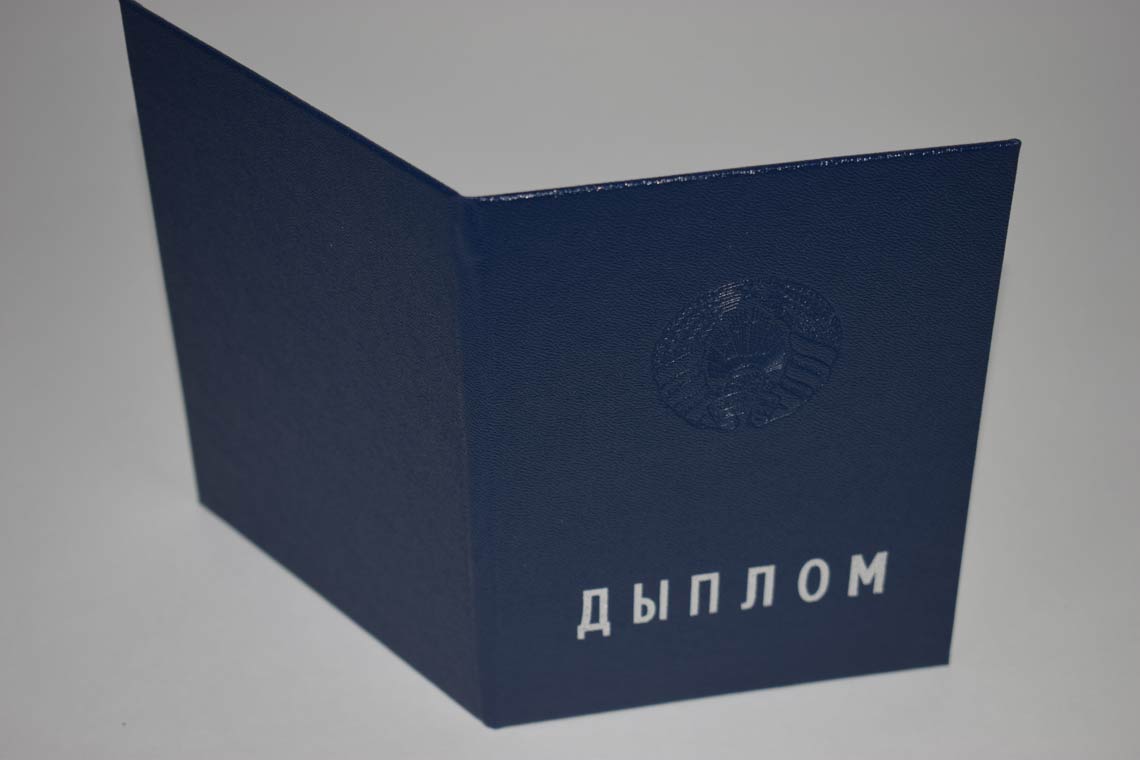 Белорусский Диплом Вуза 2011-2025 в Домодедово корка